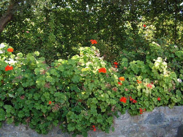ferie kreta 05 159.jpg